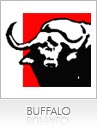 Buffalo
